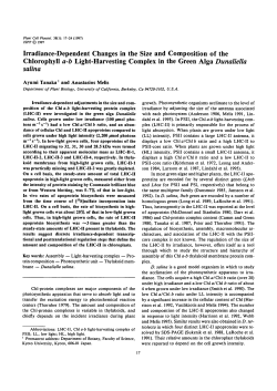 Irradiance-Dependent Changes in the Size and Composition of the
