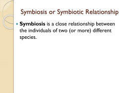 Symbiosis or Symbiotic Relationship