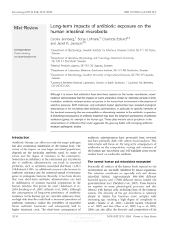Long-term impacts of antibiotic exposure on the human intestinal
