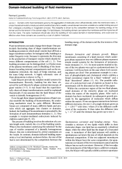 Domain-induced budding of fluid membranes
