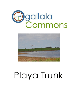 Lesson Plans for your Classroom