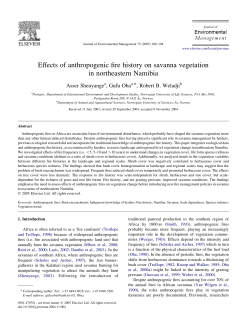 Effects of anthropogenic fire history on savanna vegetation in