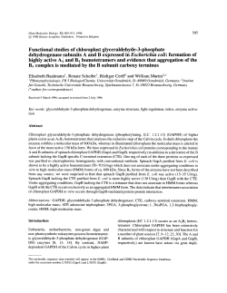 Functional studies of chloroplast glyceraldehyde-3