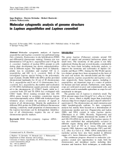 Molecular cytogenetic analysis of genome structure in Lupinus