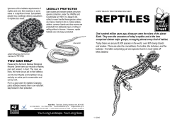 Spp - Reptiles - Kent Wildlife trust