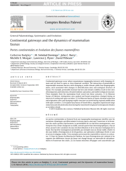 Continental gateways and the dynamics of mammalian faunas