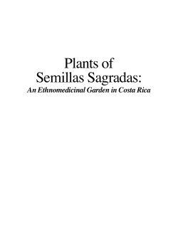 Plants of Semillas Sagradas