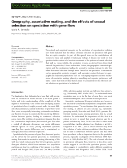 Geography, assortative mating, and the effects of sexual selection