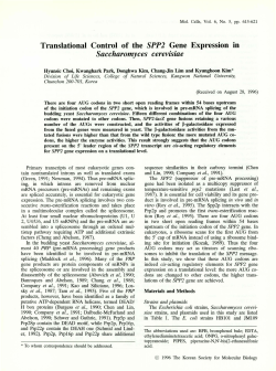 Translational Control of the SPP2 Gene Expression in