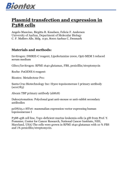 Plasmid transfection and expression in P388 cells