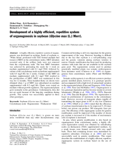 Development of a highly efficient, repetitive system of