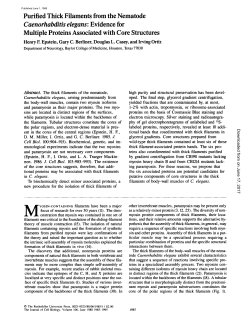 Caenorhabditis elegans: Evidence for