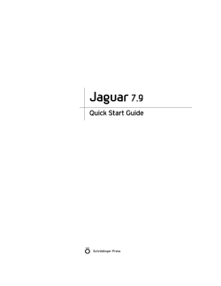 Jaguar Quick Start Guide