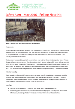 Felling near hit (May 2016)