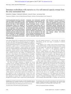Immature erythroblasts with extensive ex vivo self