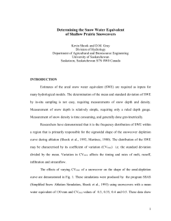 Measurements of snow depths show that, at small scales (on the