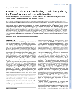 An essential role for the RNA-binding protein Smaug
