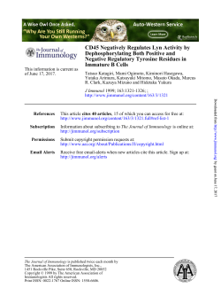 Immature B Cells Negative Regulatory Tyrosine Residues in