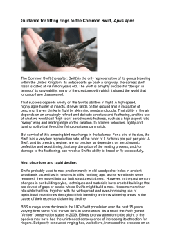 Guidance for fitting rings to the Common Swift, Apus apus
