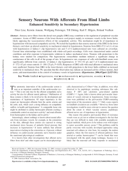Sensory Neurons With Afferents From Hind Limbs
