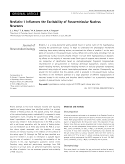 Nesfatin-1 Influences the Excitability of Paraventricular Nucleus