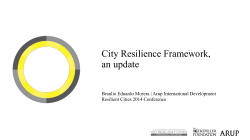 The City Resilience Framework