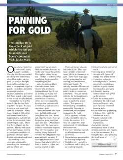 Panning for Gold - Vicki Jayne Yates BA Hons
