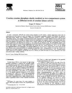 Creatine-creatine phosphate shuttle modeled as two