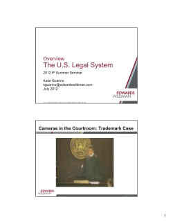 The U.S. Legal System