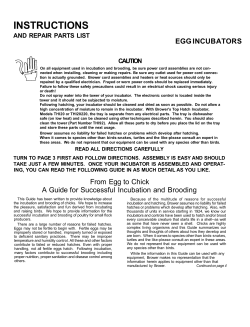 instructions