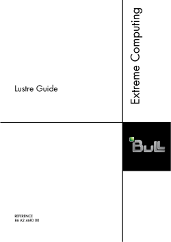 Lustre Guide