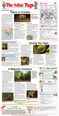 Tigers in Trouble Saving the Tiger A Majestic Creature