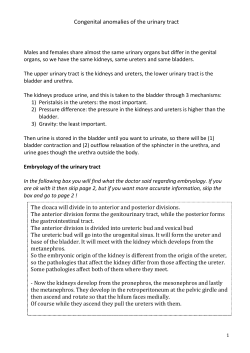 Congenital anomalies of the urinary tract