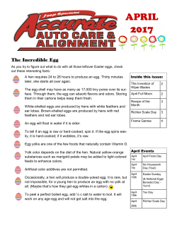 april 2017 - Accurate Auto Care