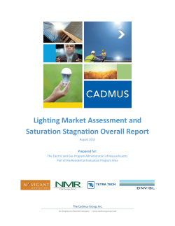 Lighting Market Assessment and Saturation Stagnation Overall Report