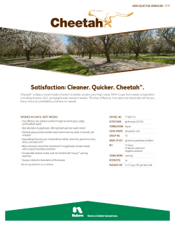 Satisfaction: Cleaner. Quicker. Cheetah&trade;.