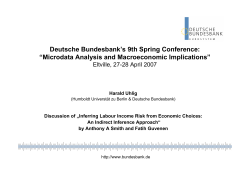 Discussion of Inferring Labour Income Risk from Economic Choices