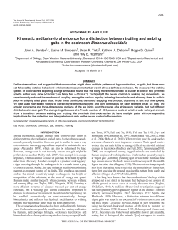 Kinematic and behavioral evidence for a distinction between trotting