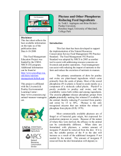 Phytase and Other Phosphorus Reducing Feed