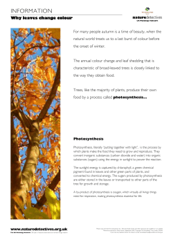 information - Nature`s Calendar