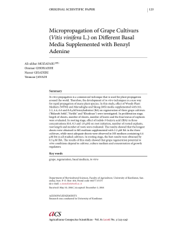 Micropropagation of Grape Cultivars (Vitis vinifera L.) on Different