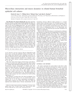Mucociliary interactions and mucus dynamics in ciliated - AJP-Lung