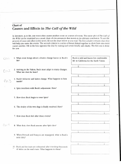 Causes and Effects in The Call of the Wild