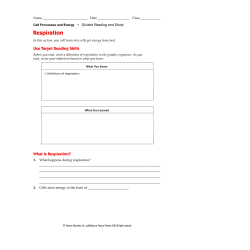 Cells and Heredity Worksheets