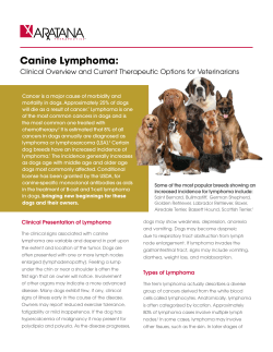Canine Lymphoma - Aratana Therapeutics