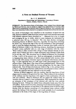 A Note on Stalked Forms of Viruses