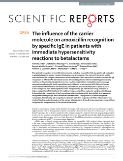 The influence of the carrier molecule on amoxicillin recognition by