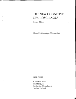 THE NEW COGNITIVE NEUROSCIENCES