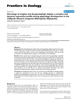 Homologs ofwinglessanddecapentaplegicdisplay a complex and