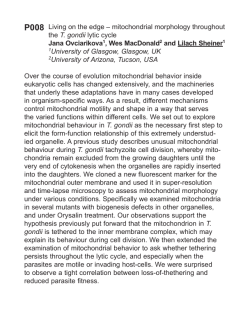 Living on the edge &ndash; mitochondrial morphology throughout the T